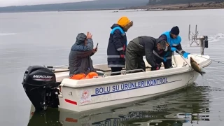 Bolu'da gölün ortasında 500 metrelik kaçak ağ ele geçirildi