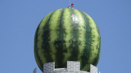 Bu karpuz sağlığa zararlı!