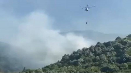 Bursa'da orman yangını kontrol altına alındı