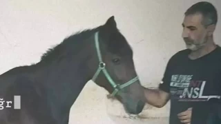 Darp edilen seyis 97 gün sonra öldü, zanlılar tutuklandı