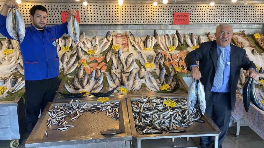 Denizlerde palamut bolluğu devam ediyor