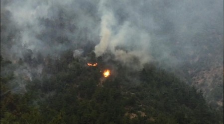 Eskişehir'de 70 hektar ormanlık alan kül oldu