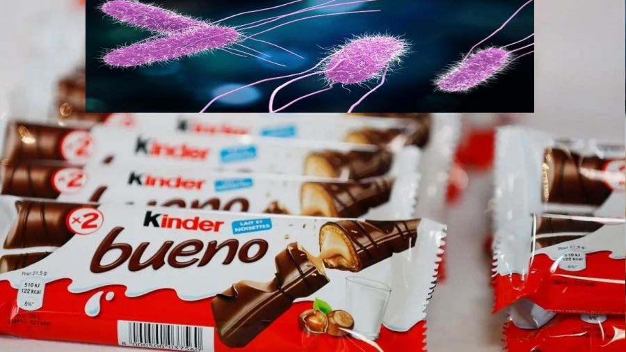 Ferrero'nun ardından Mondelez çikolatalarında da bakterisi şüphesi