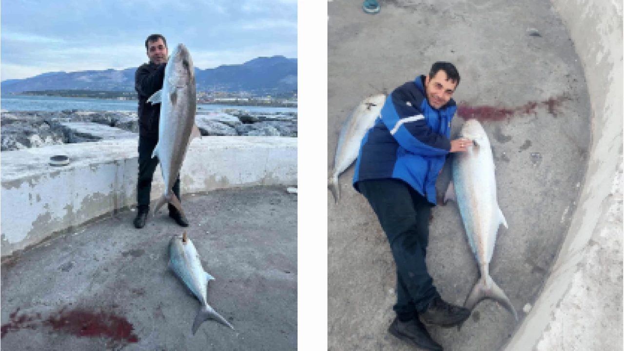 İki dev balığı oltayla tek seferde yakaladı, çakasını da sattı