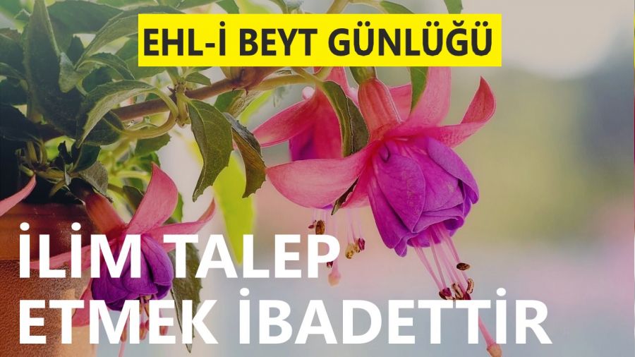 lim talep etmek ibadettir