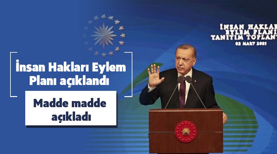   nsan Haklar Eylem Plan akland