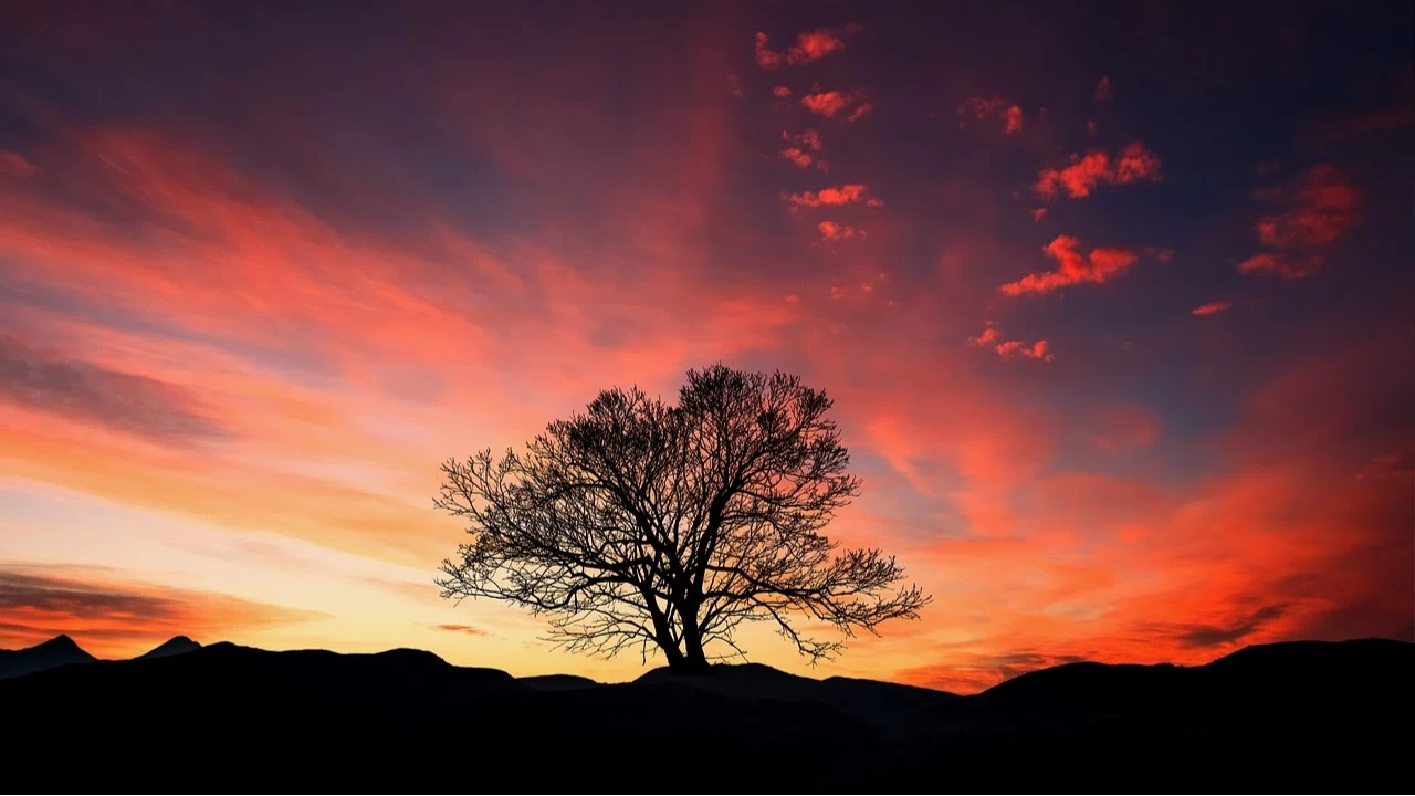 İslam’da rüya ile amel edilir mi?