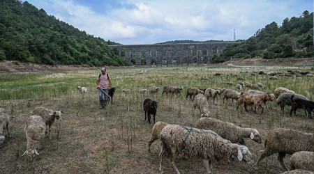 İstanbul'un suyu kritik seviyede