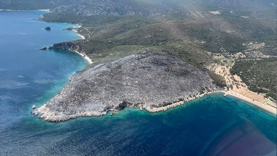 İzmir'de makilik alan yangınında 2 gözaltı