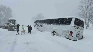 Kastamonu'da yoldan kan yolcu otobs kara sapland