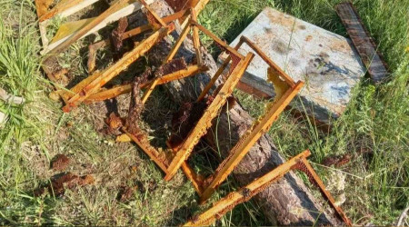 Köye inen ayı balları tüketti