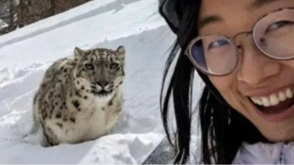 Leoparla selfie çekmek istedi, ölümden son anda kurtuldu