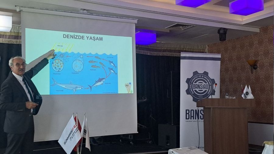 Marmara Denizi'nde balık türleri azaldı