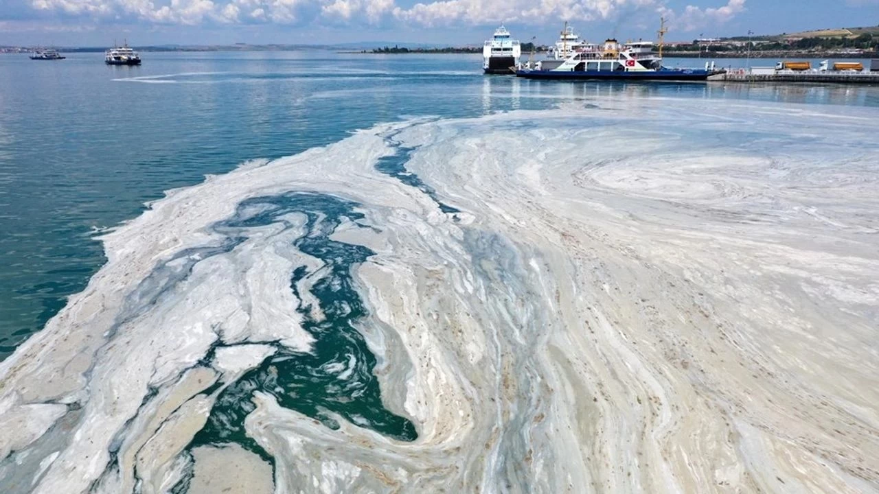 Marmara Denizi'nde kirlilik ve oksijen azl msilaja neden oldu