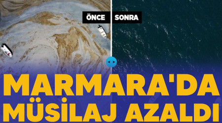 Marmara'da musilaj azald