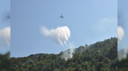 O ilde şüpheli orman yangını