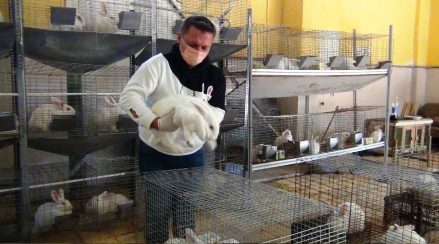 Öğretmenliği bırakıp tavşan çiftliği kurdu