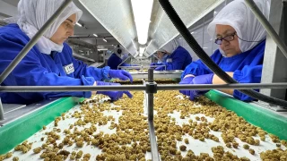 Organik ürün ihracatı arttı