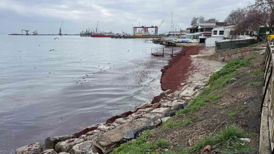 Poyraz sahili kırmızıya boyadı