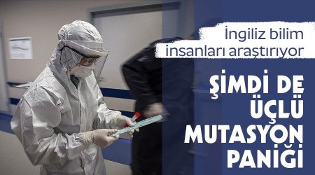 imdi de l mutasyon panii