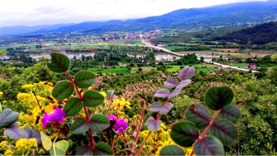 Sinop’un İç Anadolu’ya açılan kapısı: Saraydüzü
