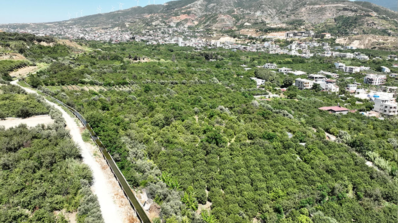  Tarmsal retim dt, hayvanclk kan kaybetti