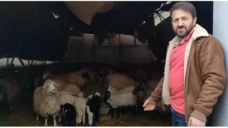 Trabzon'da ilginç görüntüler