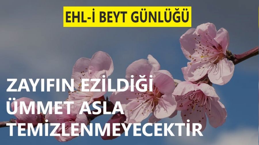 ‘Zayıfın ezildiği ümmet asla temizlenmeyecektir’
