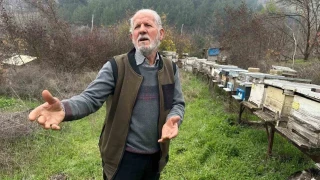 Zirai ilaç yüzünden milyonlarca arısı öldü