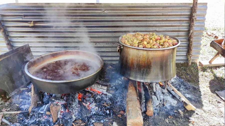 Artvin'de elma pekmezi geleneksel yöntemlerle yapılıyor