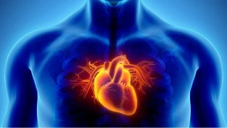 Az Sigara Bile Kalp İçin Büyük Risk