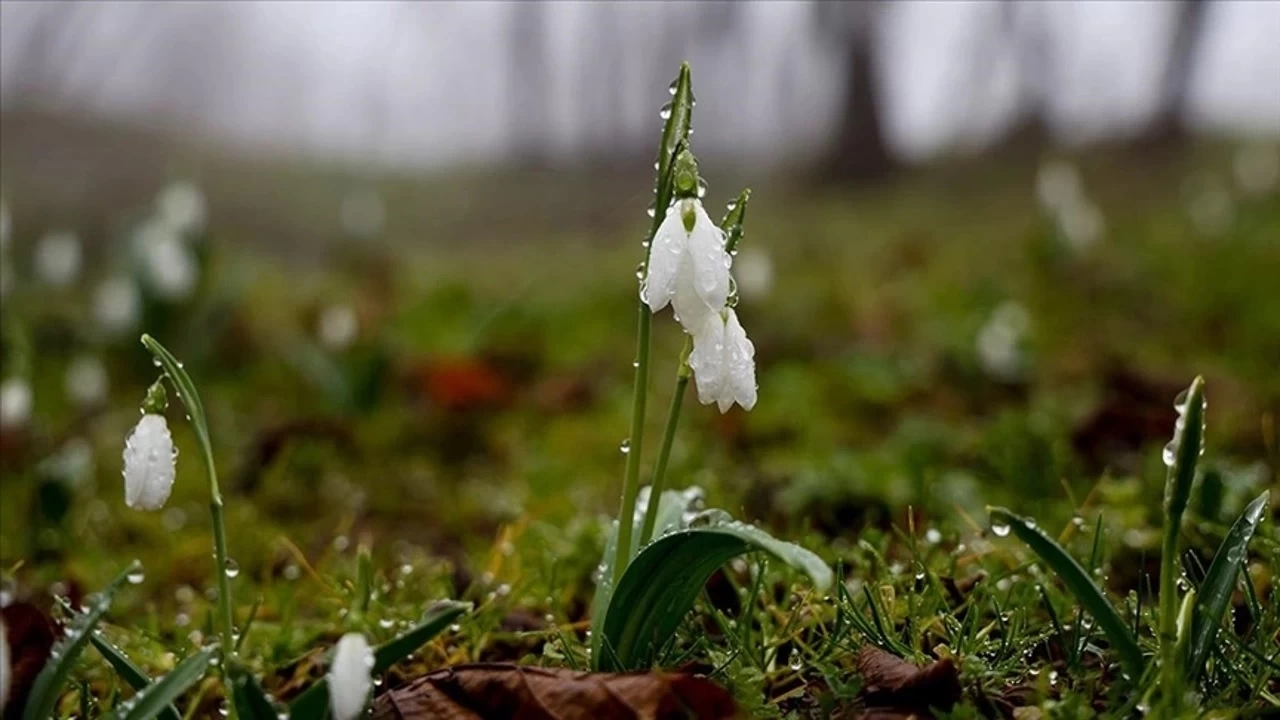 Baharın müjdeleyicisi 'cemre', havaya ve suya düştü. Toprağa ne zaman düşecek?