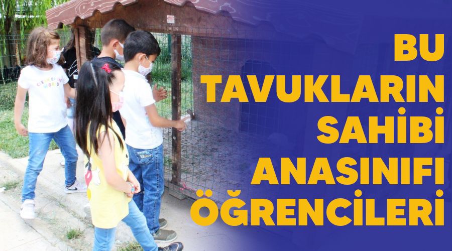 Bu tavuklarn sahibi anasnf rencileri