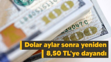 Dolar aylar sonra yeniden 8,50 TL'ye dayandı
