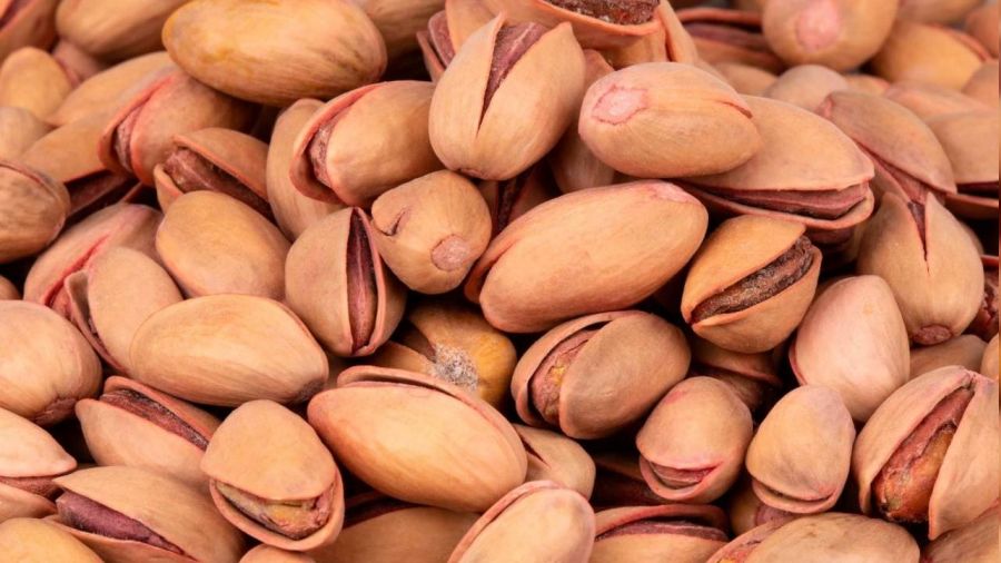 Dolu ve aşırı sıcaklar Siirt fıstığını etkiledi