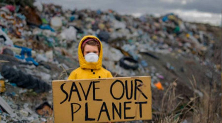 Ekokırım Türkiye’de suç olmalı!