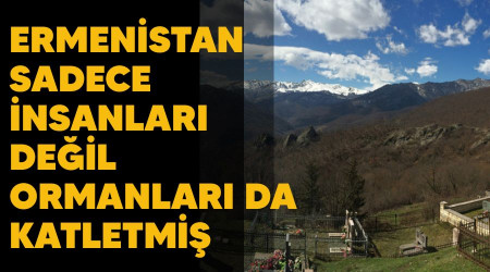 Ermenistan sadece insanlar deil ormanlar da katletmi