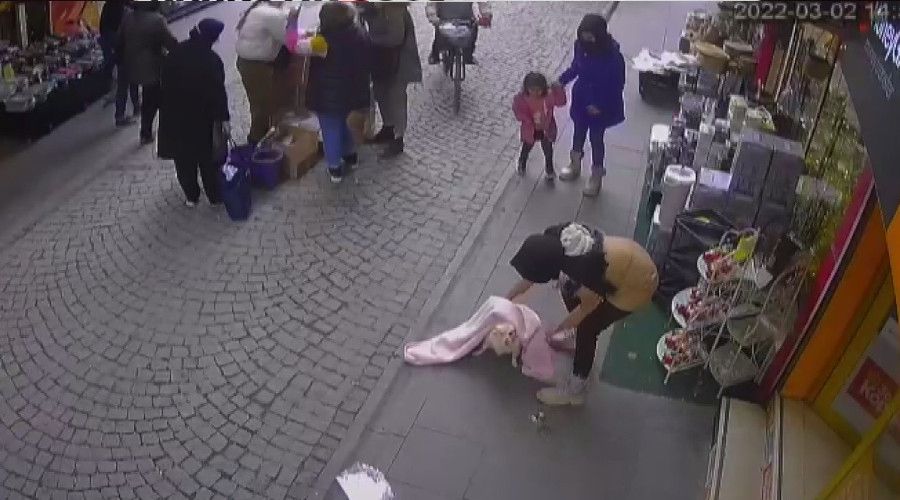 Eskişehir'de şallı köpek hırsızlığı