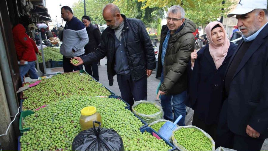 Gaziantep'te yeil zeytin tezgaha indi