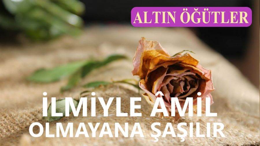 İlmiyle âmil olmayana şaşılır
