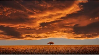 İmam Cafer: Şükür ve sabır