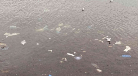Kadıköy'ü lodos vurdu, Caddebostan sahilini plastik atıklar kapladı
