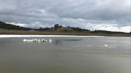 Kısmen buz tutan gölün keyfini kazlar çıkardı