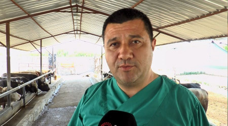 Kurbanlık alacaklara uzmanından önemli uyarılar