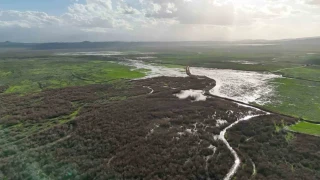 Kuruyan Marmara Gölü'ne yeniden su girişi başladı