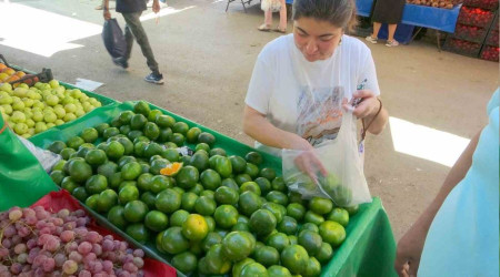 Mandalina Muğla'daki semt pazarındaki tezgahlarda yerini aldı