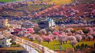 Mardin'in gizli cennetlerinden biri: Yeilli