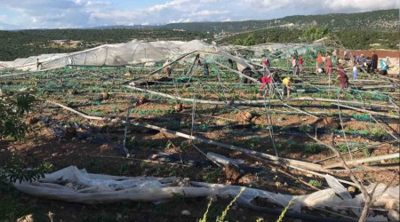 Mersin Erdemli'de hortum seralar ykt