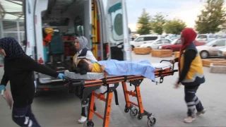 Parkta köpeklerin saldırısına uğrayan çocuk hastanelik oldu