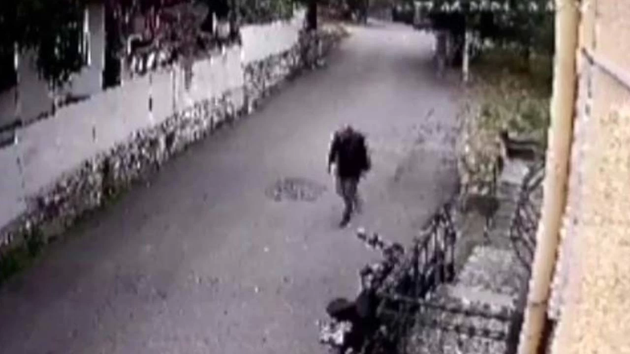 Pendik'teki parçalanmış ceset olayında bir kişi gözaltına alındı